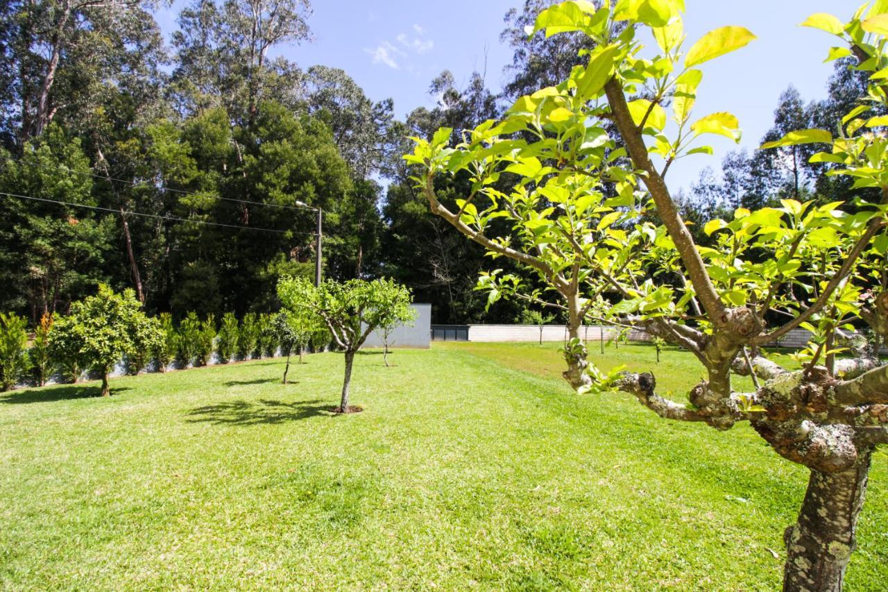 River House In Nova Cerveira Villa *